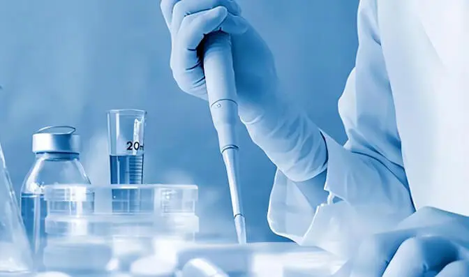 Investigación y Desarrollo